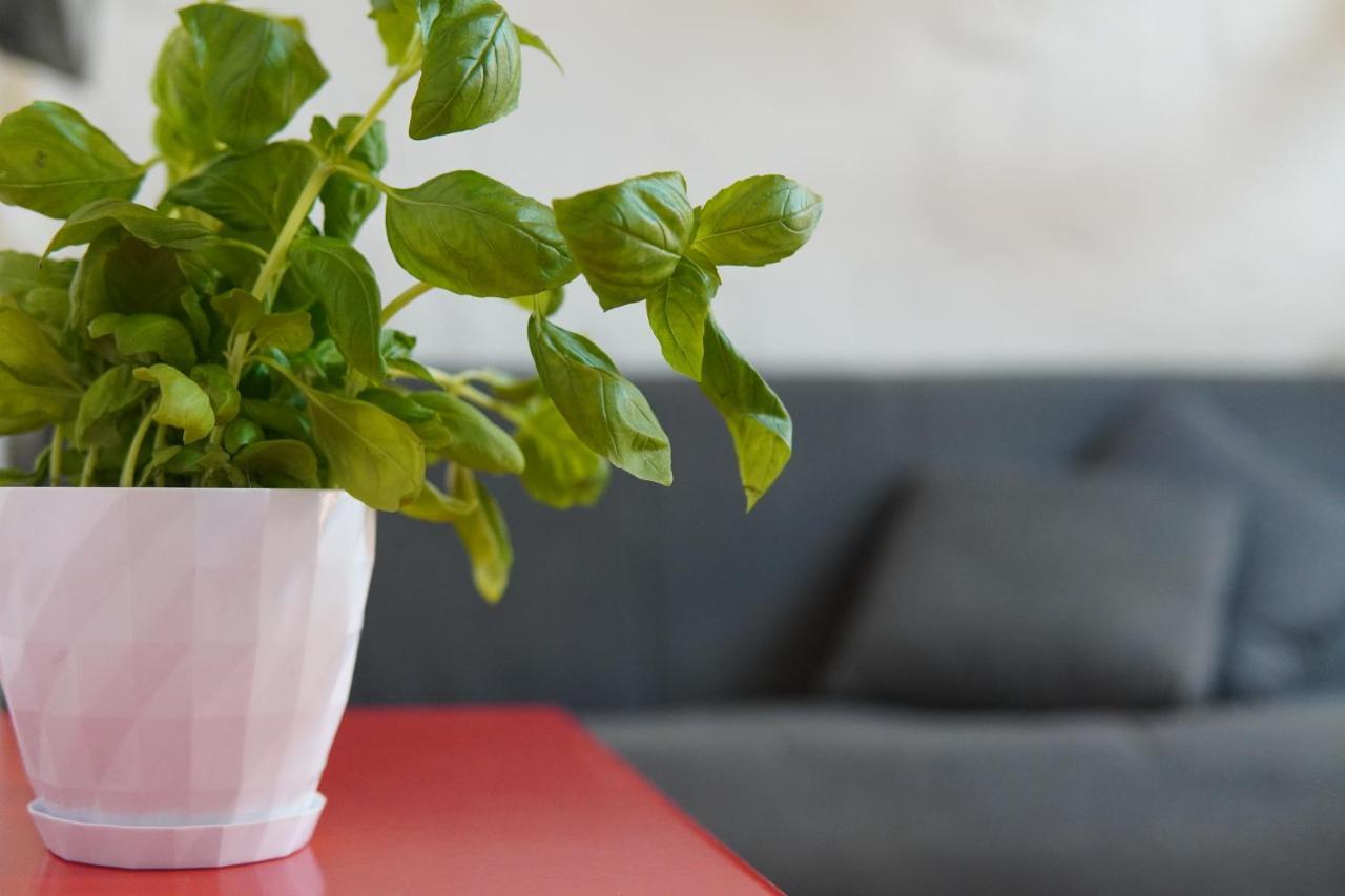 Il-Mezzanine Private Traditional And Walking Distance To Bus Terminus Cospicua Exterior foto